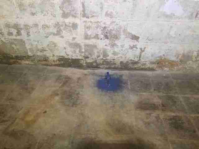 Testing again(56).jpg